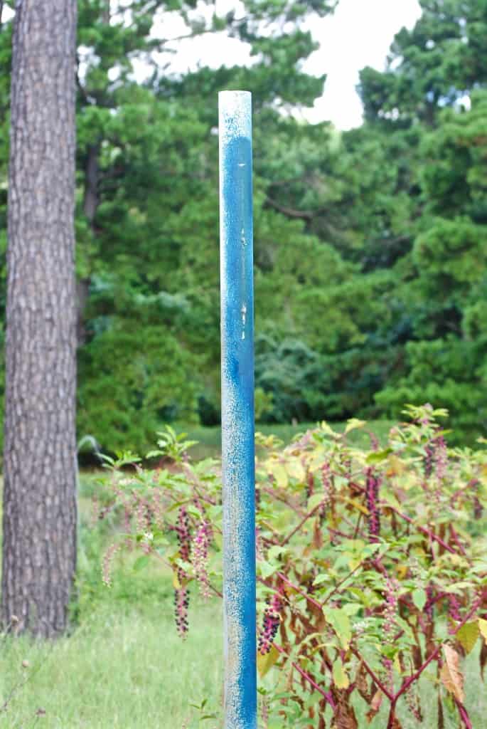 Bluebird nest boxes