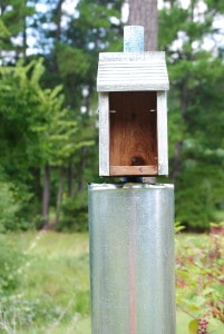 Bluebird nest boxes