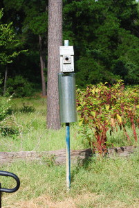 Bluebird nest box