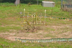 creating garden borders with bottles