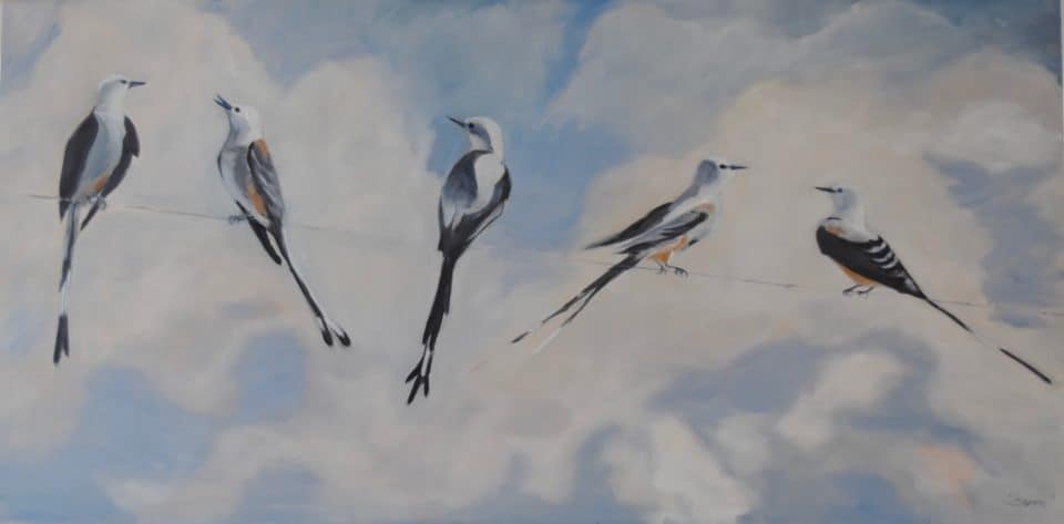 Oil paintings of birds by Tammy Brown