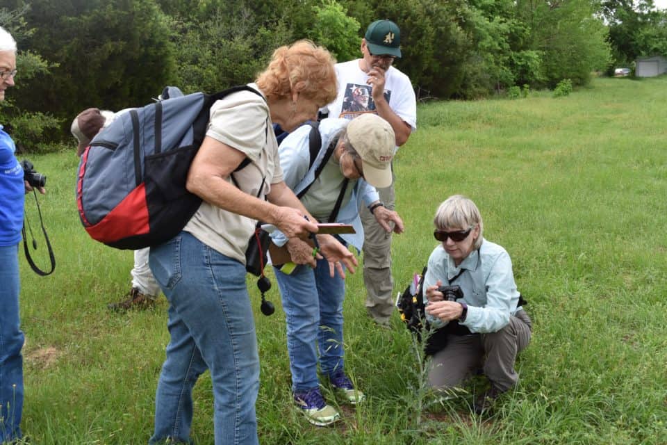 lost pines chapter texas master naturalists