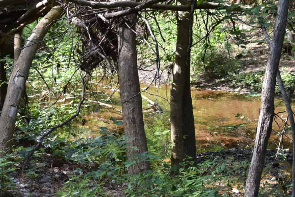 Piney Creek, Bastrop, TX