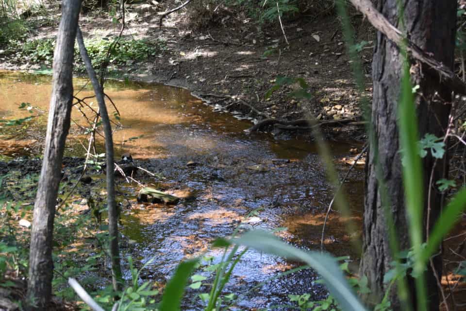 Piney Creek, Bastrop, TX