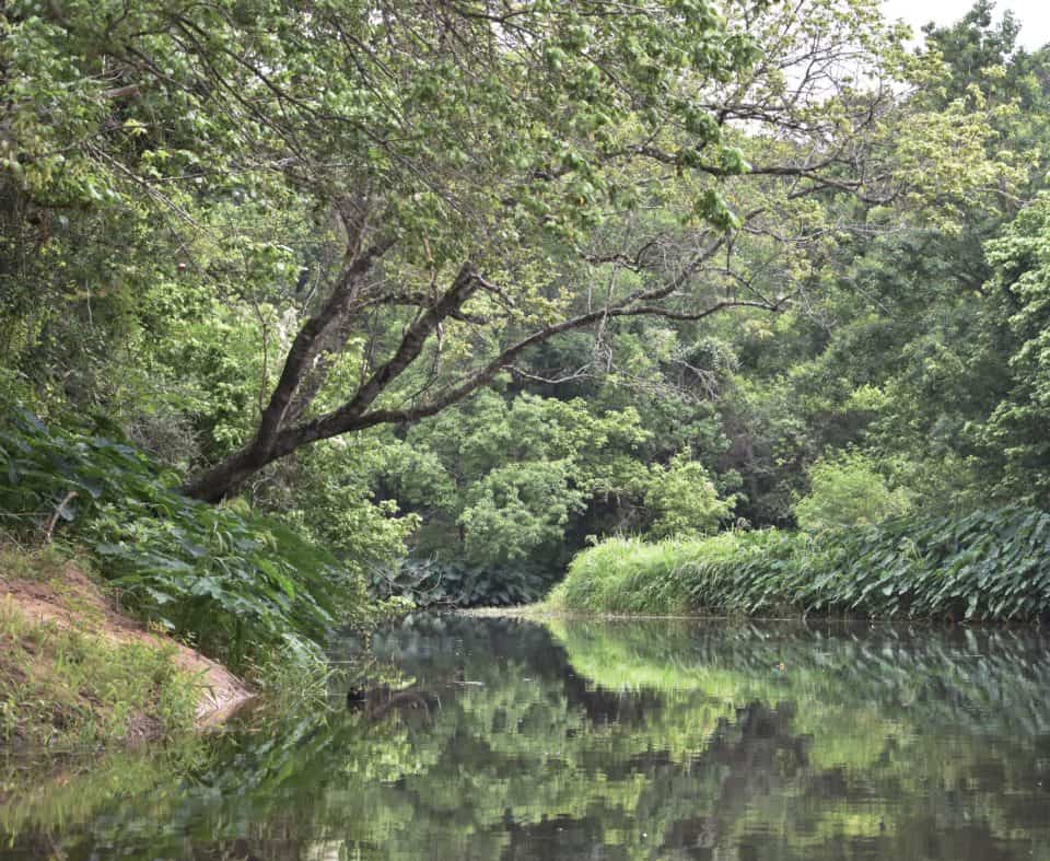 Piney Creek, Bastrop, TX