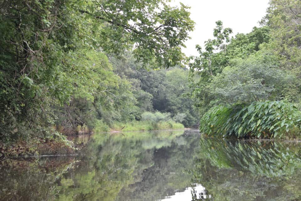 Piney Creek, Bastrop, TX