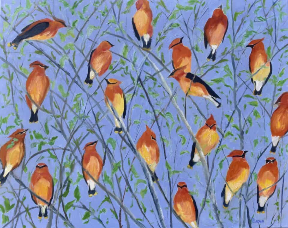 Oil painting of Cedar Waxwings,size24 x 30, for sale for 550.