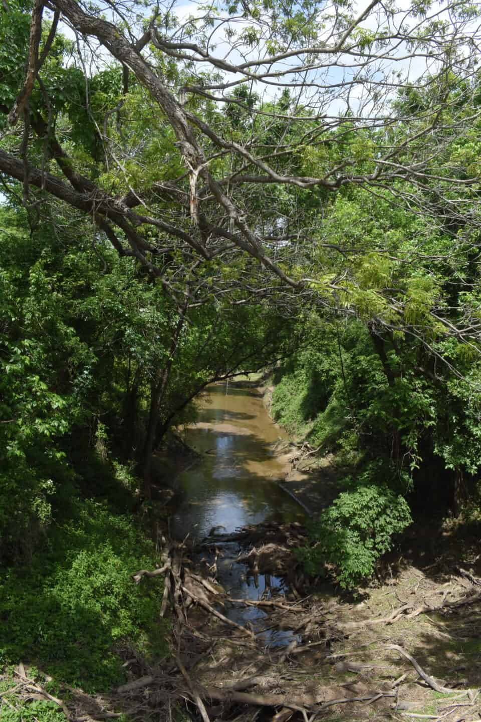 Big Sandy Creek from the Bridge on Sayer's Road, Bastrop TX birding hotspot guide