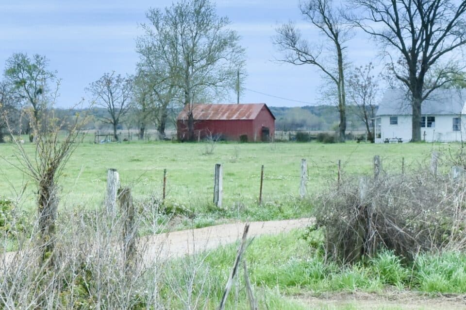 Old barn on Loop Rd, birding hotspot in Smithville, Bastrop County TX